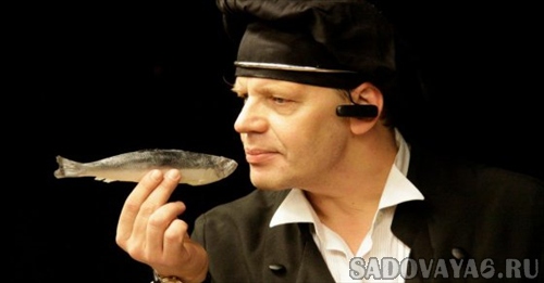 на фестивале SOLO